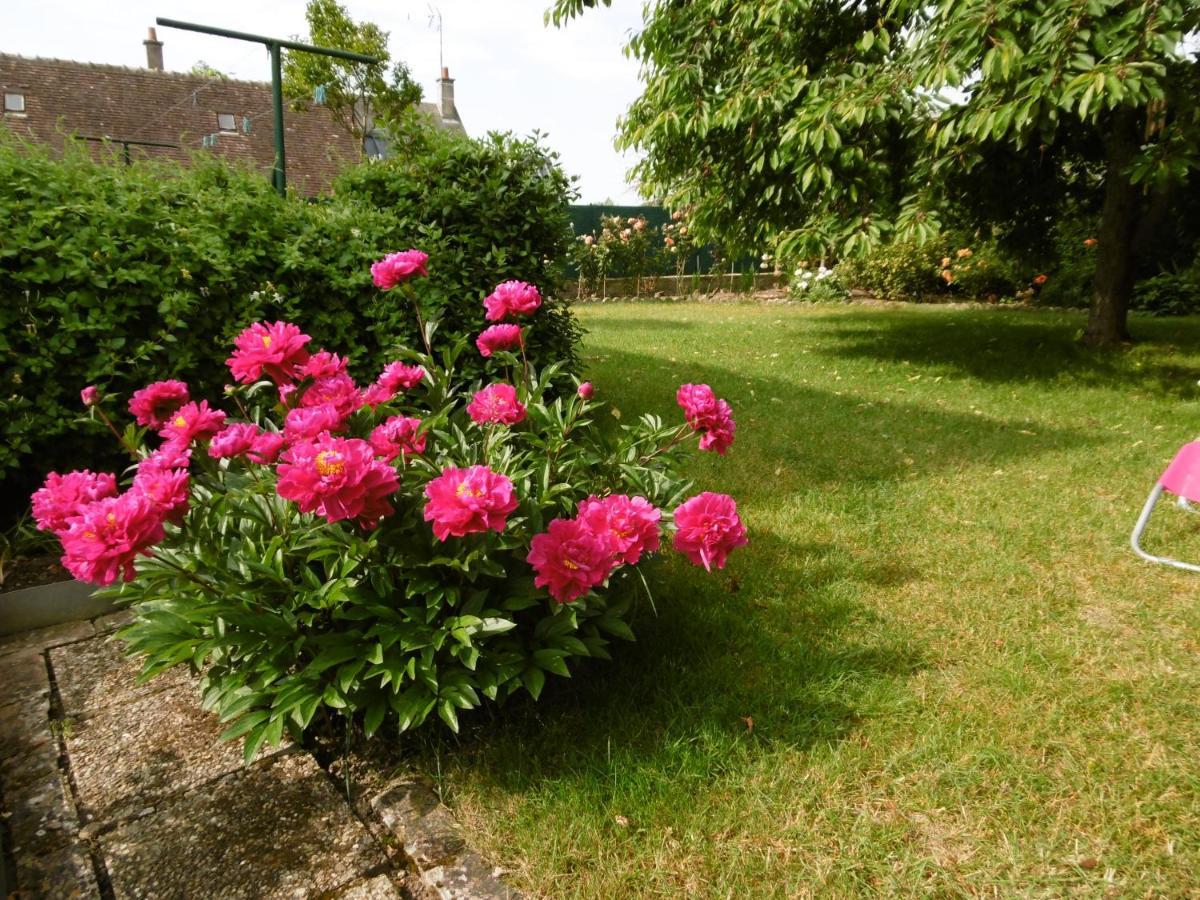 La Musardiere Auzouer-en-Touraine Buitenkant foto